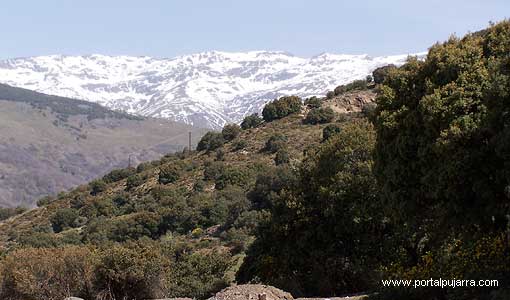 Las nieves de Sierra Nevada en la Alpujarra 