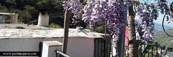 Tejados de las casas rurales Alpujarra